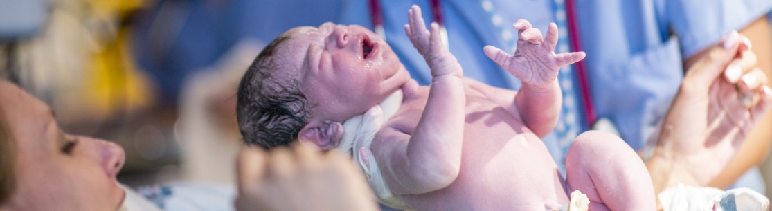 Activiteitenverslag Smals 2023