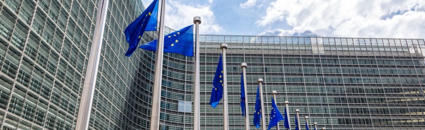 europe flag