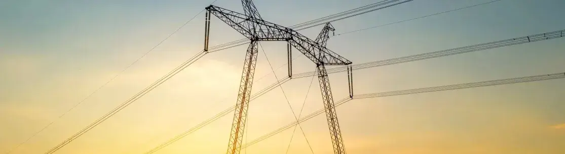 panneaux photovoltaiques